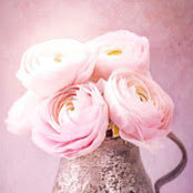 Shereen Gawish's photo
