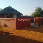 Foto von Ndibo Macheke