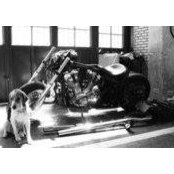 Deniz Sipahi's photo