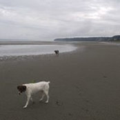 Matt Holbrook's photo