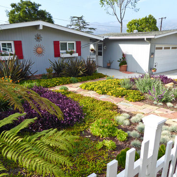Another Lawn Bites the Dust - With Gusto