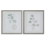 Uttermost - Uttermost Come What May Framed Prints, S/2 - This Versatile Pair Depicts Delicate Botanicals In Soothing Sage, Navy, And Neutral Tones. Each Print Is Under Glass And Accentuated By An Off-white Linen Mat And Gray Wood Tone Frame With A Petite Champagne Liner. Artwork By Flora B.