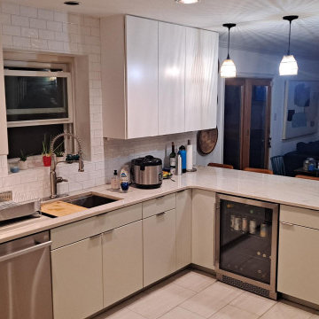 Contemporary Kitchen Remodel