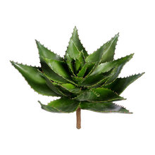 Wish List