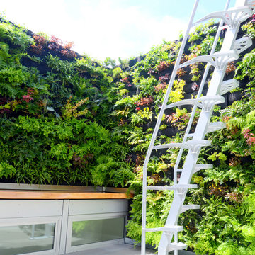 Living Green: Urban Wilderness