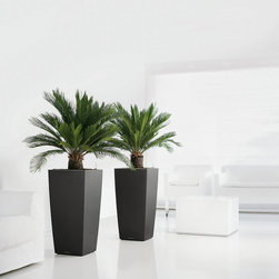 Modern Planter - Products