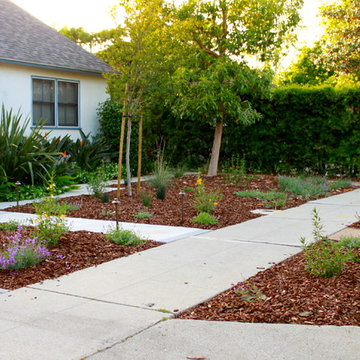 West Los Angeles Lawn Removal Makeover