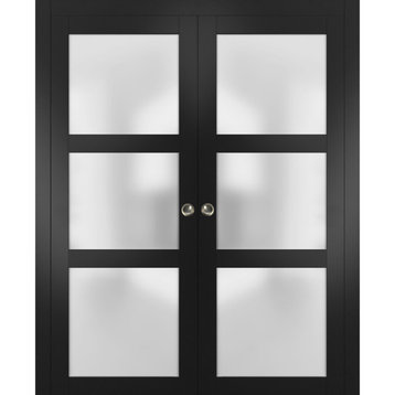 French Double Pocket Doors 72 x 96 Frosted Glass, Lucia 2552 Matte Black