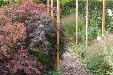 Kleiner Asiatischer Garten im Herbst mit direkter Sonneneinstrahlung und Holzzaun in Bonn