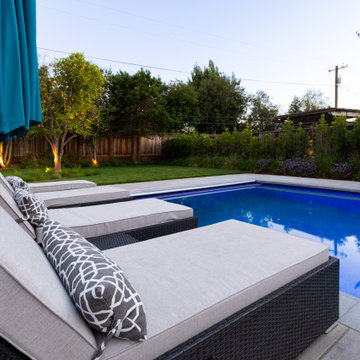 Willow Glen
