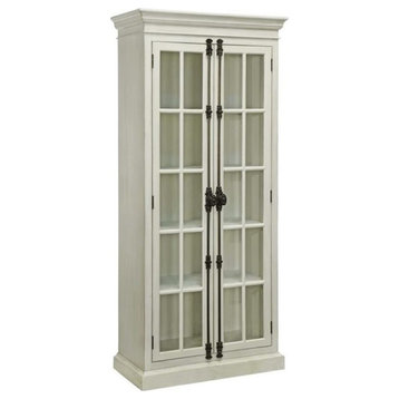 Pemberly Row 2 Door Traditional Curio Cabinet in Antique White