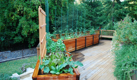 Kick-Start Your Vegetable Garden This Winter