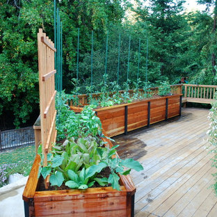 サンフランシスコのトラディショナルスタイルのおしゃれなデッキの写真