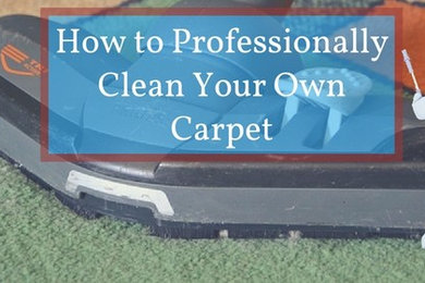 PROFESSIONAL CARPET CLEANING