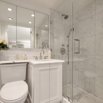 Luxury Penthouse Renovation