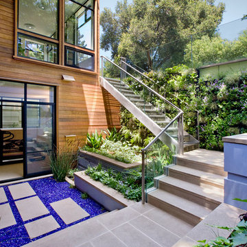 Lantern House