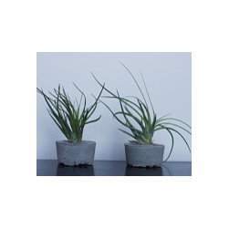 Handmade Concrete Planters - Outdoor Pots And Planters