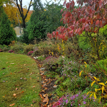 Pollinator Friendly Paradise
