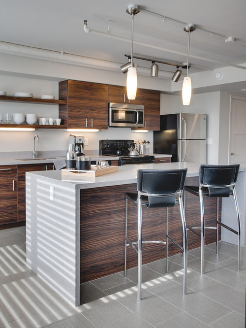 Best Budget Contemporary Kitchen Design Ideas & Remodel Pictures Houzz