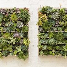 Custom Home - Green Wall