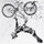 sean_levac