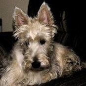 Foto de Wallace Divot
