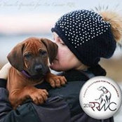 Elena Johansson's photo