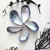 Heba El Assal's photo