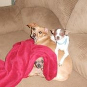 Joyce Fishback's photo