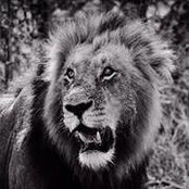 Mark Staudt's photo