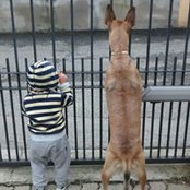 Elena Stopelli's photo