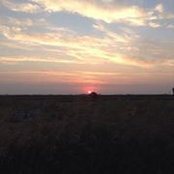 Dawn Williamson's photo