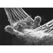 Holly Welch's photo