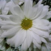 Heather Jones's photo