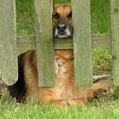 Melissa Hickox's photo