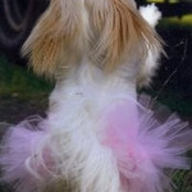 Foto von Shirley Tate