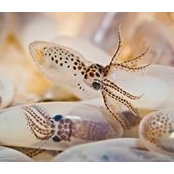 Kara McNair's photo