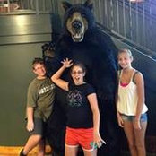 Ted Gargano's photo