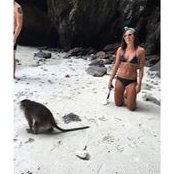 Brianna Beachey's photo