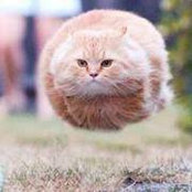 Deann Carlson's photo