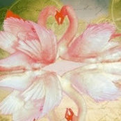 Mary Mullins's photo