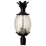 Acclaim - Acclaim Lanai 3-Light Outdoor Post Mount 7517BK - Matte Black - Lanai embodies southern charm. Welcome guests with this fun tropical fruit shaped lantern. This popular collection is constructed of cast aluminum with clear, textured glass in the shape of a pineapple.