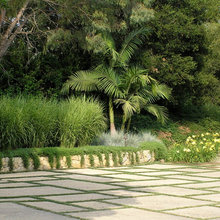 Florida landscaping