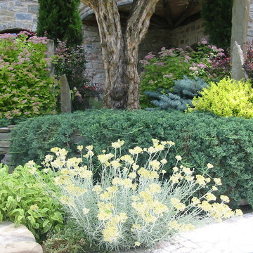 Giardino mediterraneo con laghetto
