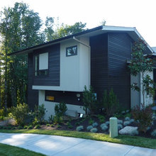 Pacific Modern