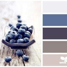 Colors