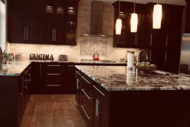 Inspiration for a modern kitchen remodel in Other