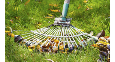Best 15 Garden Landscape Supplies Companies In Meyerton Gauteng South Africa Houzz Au