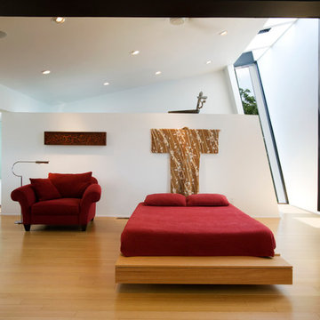 Okasian House, Fitzsimmons Architects