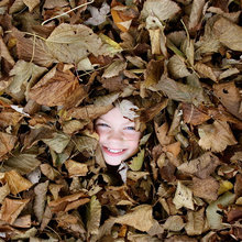 Fall